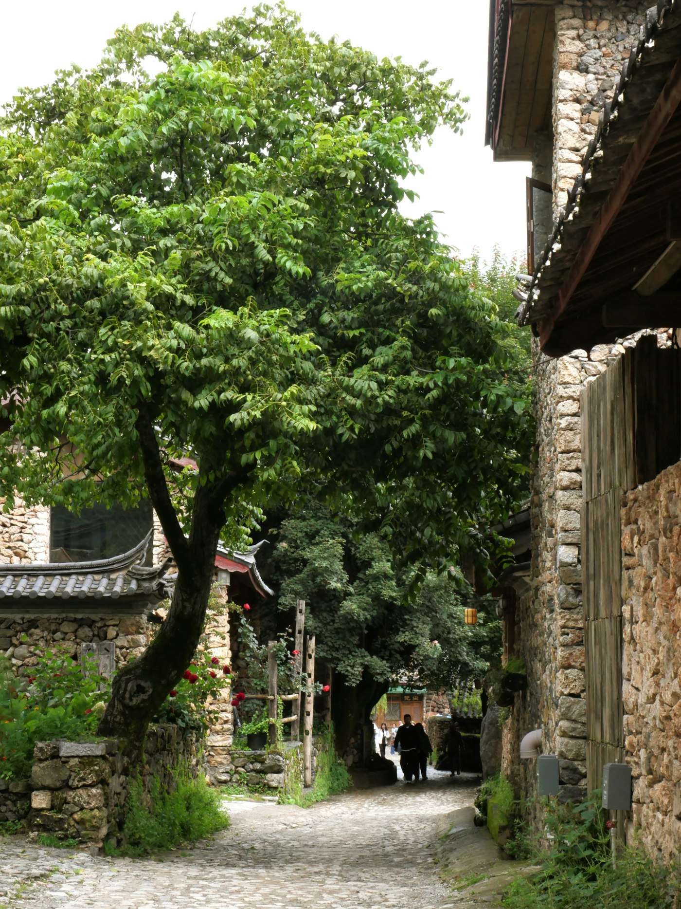 丽江